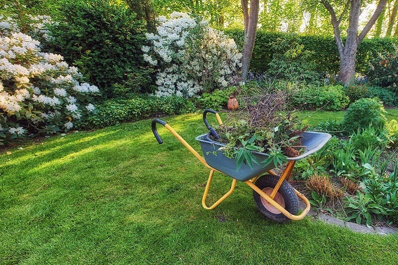 What Changes The Price Of Garden Maintenance In Sydney?