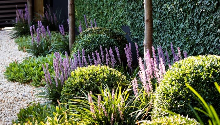 Seasonal Garden Maintenance Tips For Sydney Homes
