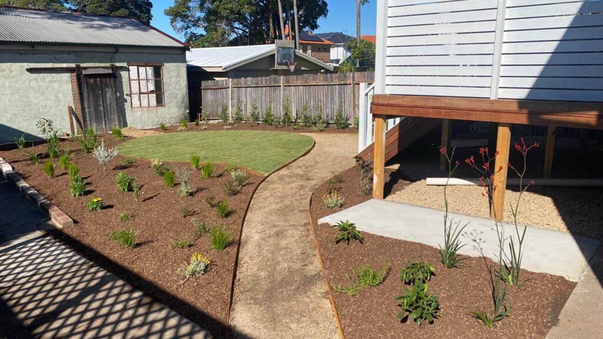 Finished Forestville garden with new planting, lawn and a curved path