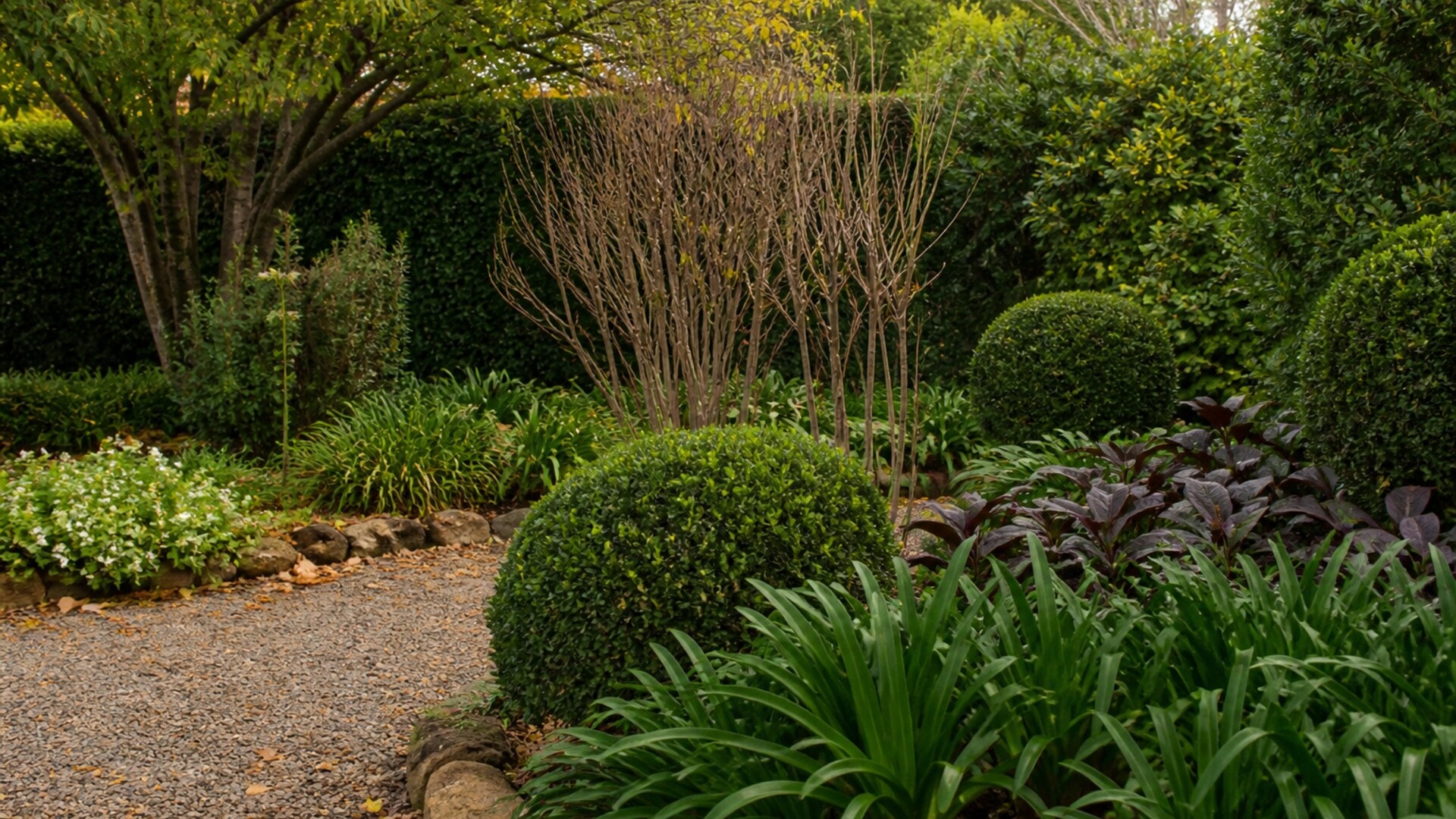 Established garden showing fresh growth, fallen leaves and seasonal stems