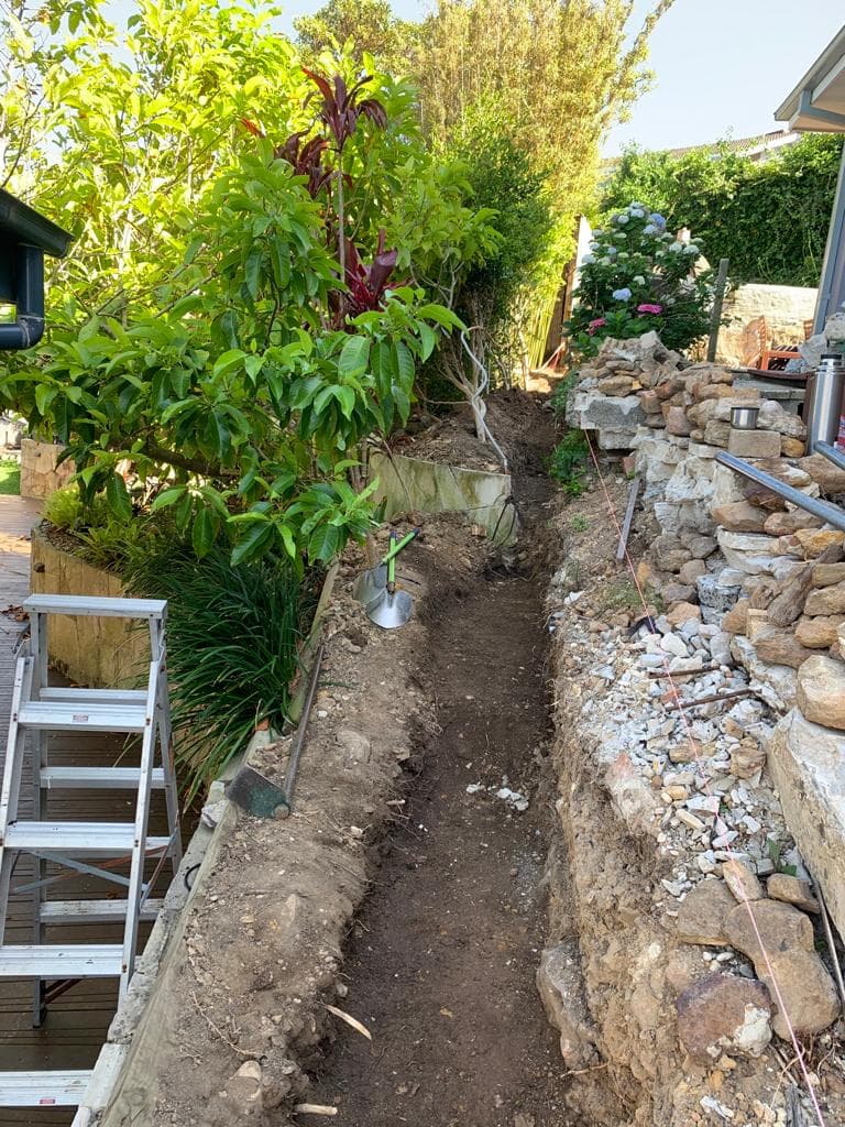 Eroded bank and site access before excavation