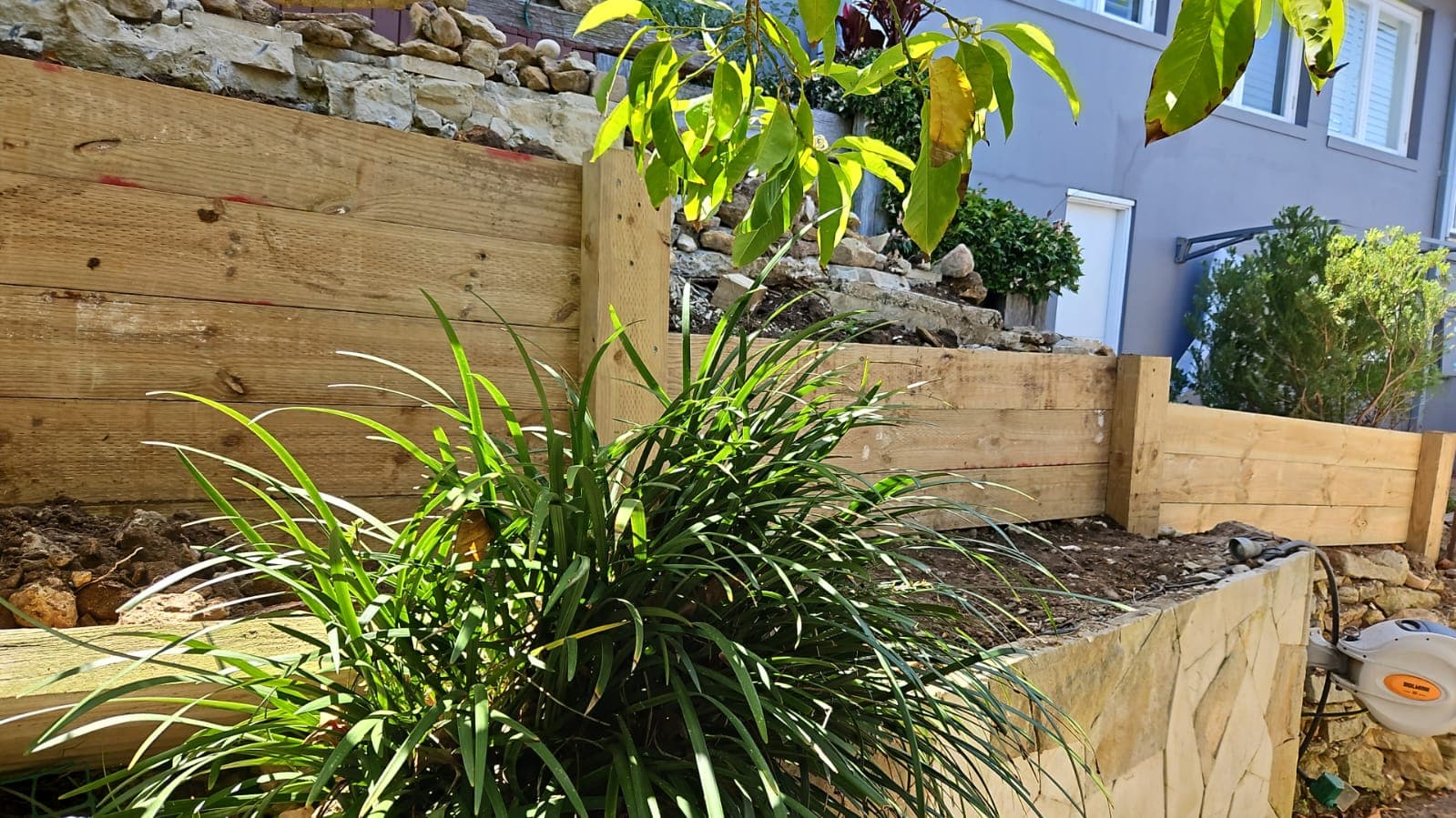 Collaroy timber retaining wall