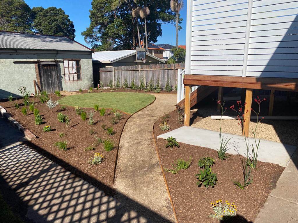 After photo of Forestville Front and Back Yard, completed by Abloom Gardening in Forestville