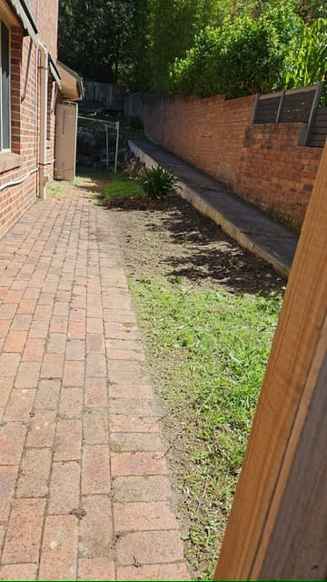 Forestville yard before the turf and garden bed upgrade