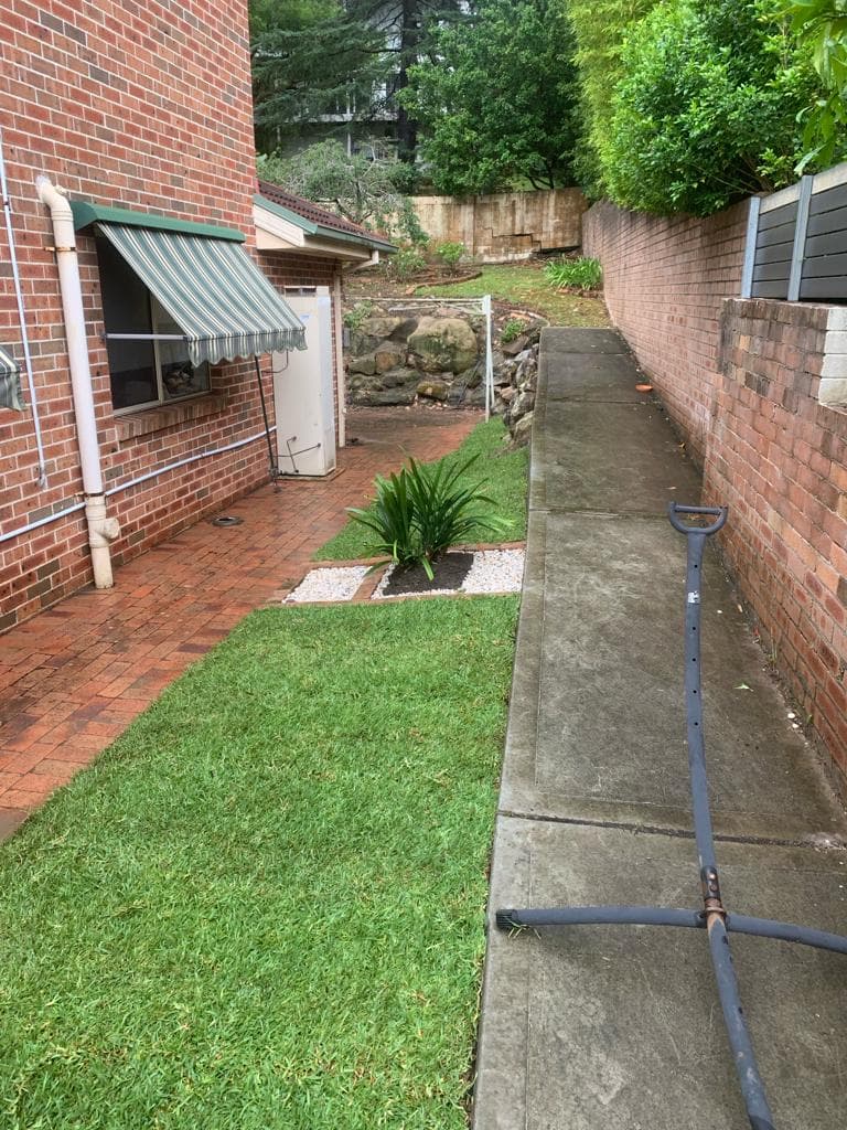 Feature plant installed in the low-maintenance bed