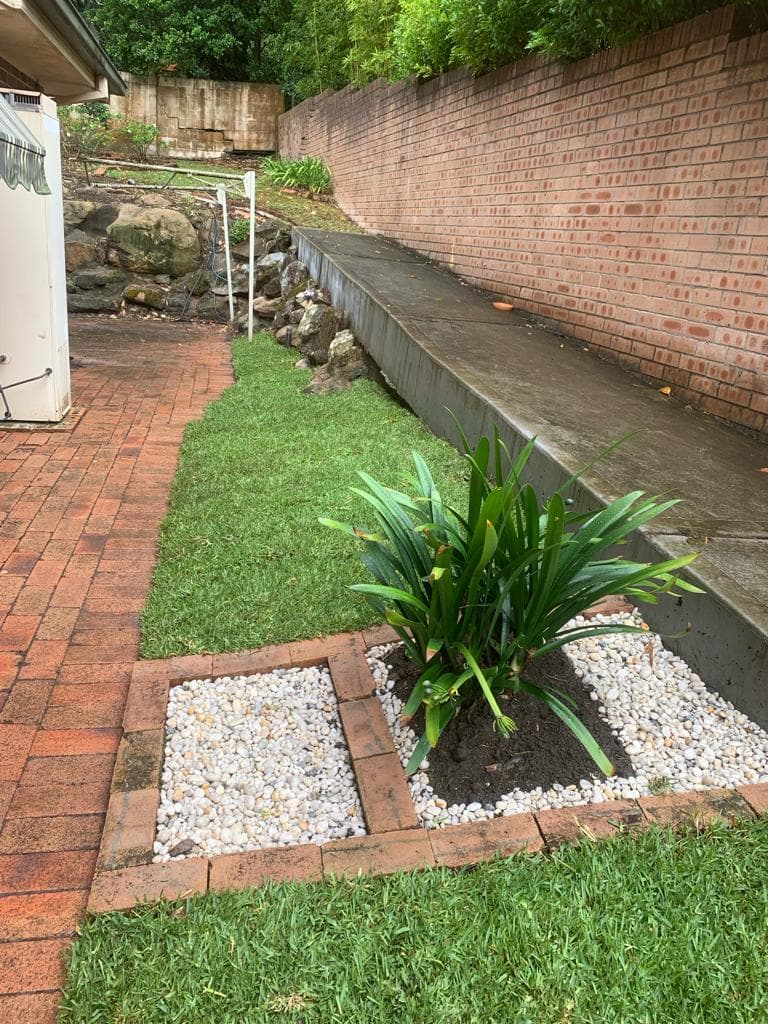 Forestville Turf and Garden Bed