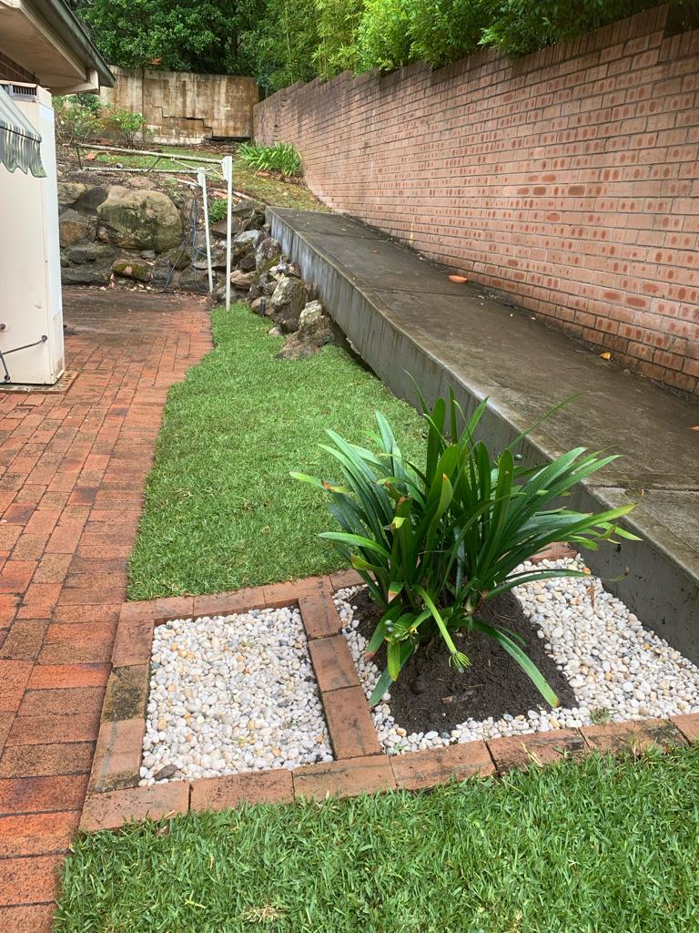 After photo of Forestville Turf and Garden Bed, completed by Abloom Gardening in Forestville