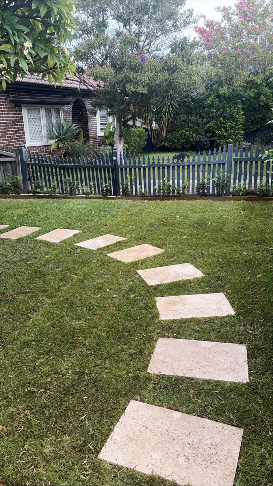 Completed Lane Cove front garden with new turf, a stepping-stone path and planting