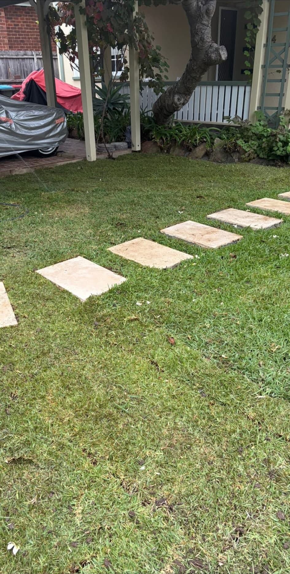 Finished Lane Cove front yard with corten edging and new turf