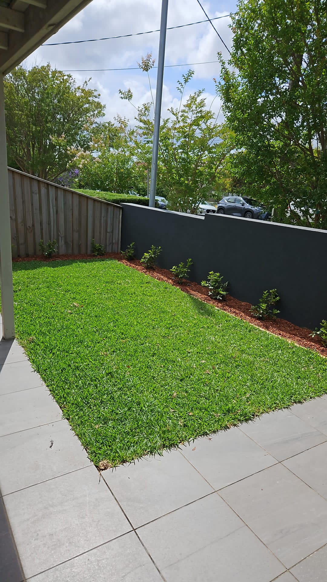 After photo of Naremburn Paving, Lighting, and Turf, completed by Abloom Gardening in Naremburn