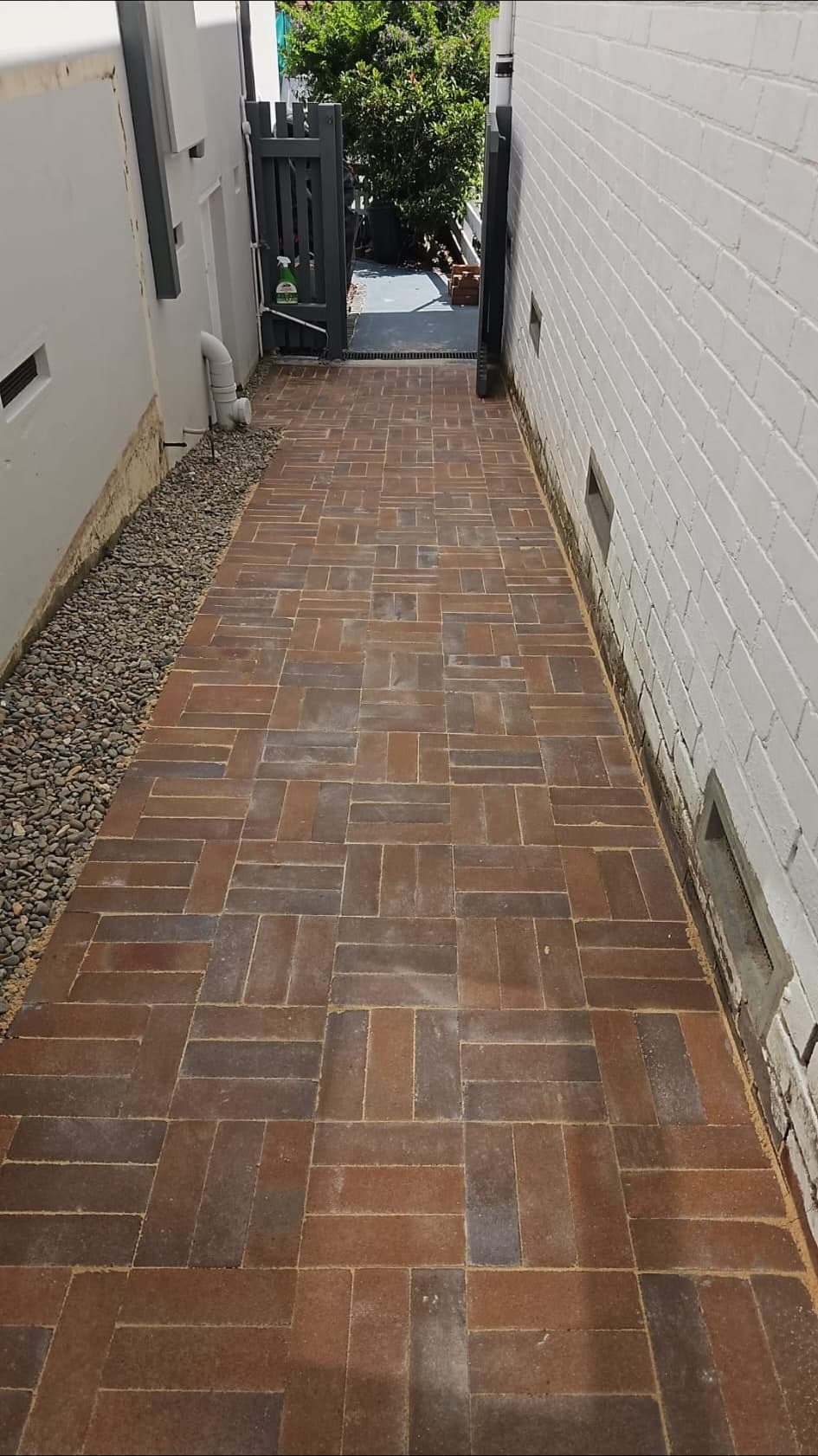 Naremburn pathway paver replacement