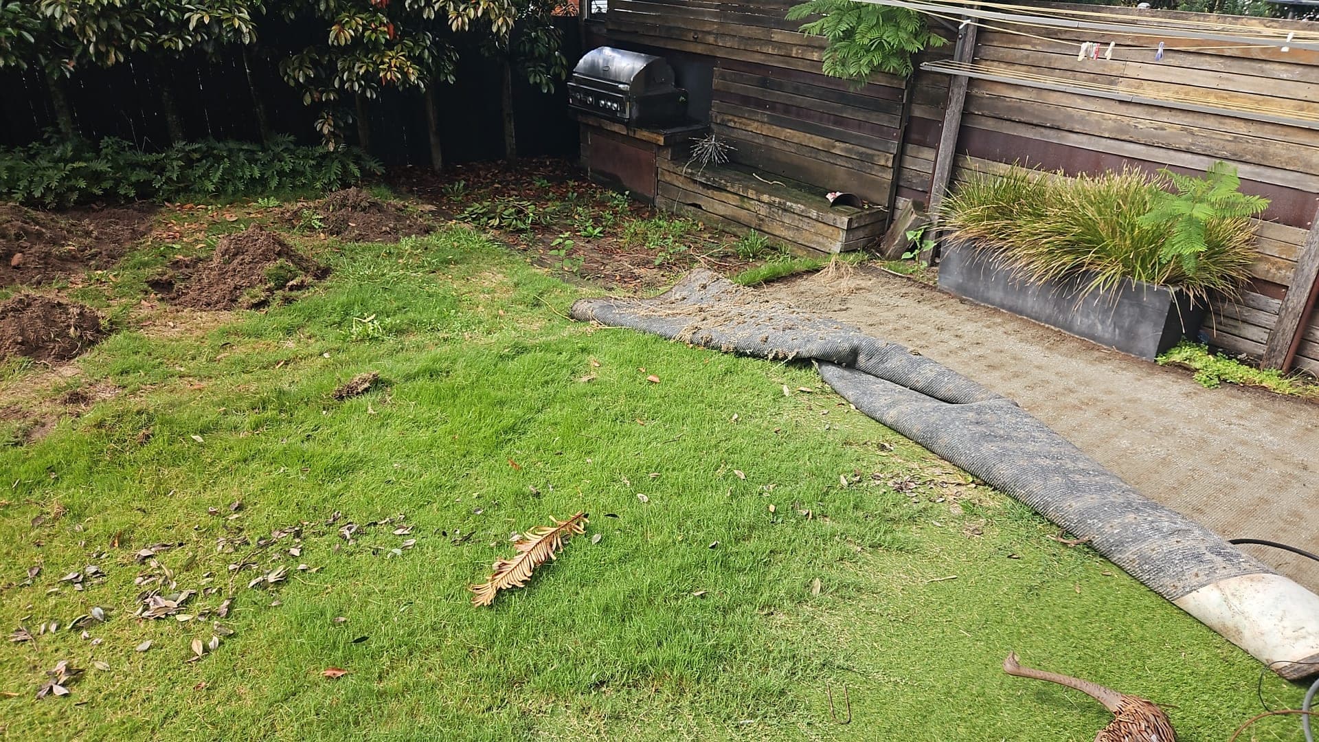 Old lawn base exposed before the underlay and levels were corrected