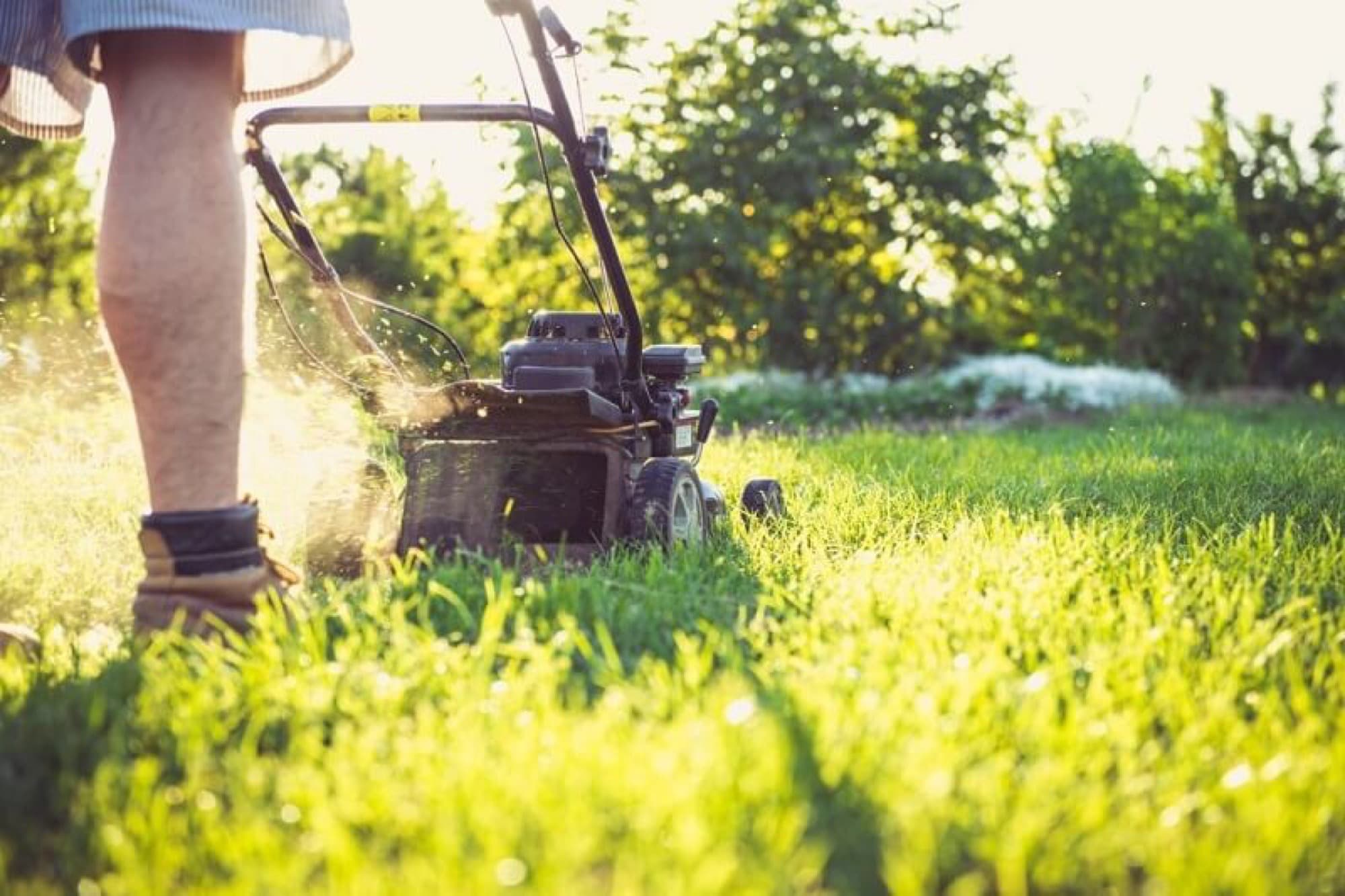 Person pushing a lawn mower across a sunlit lawn