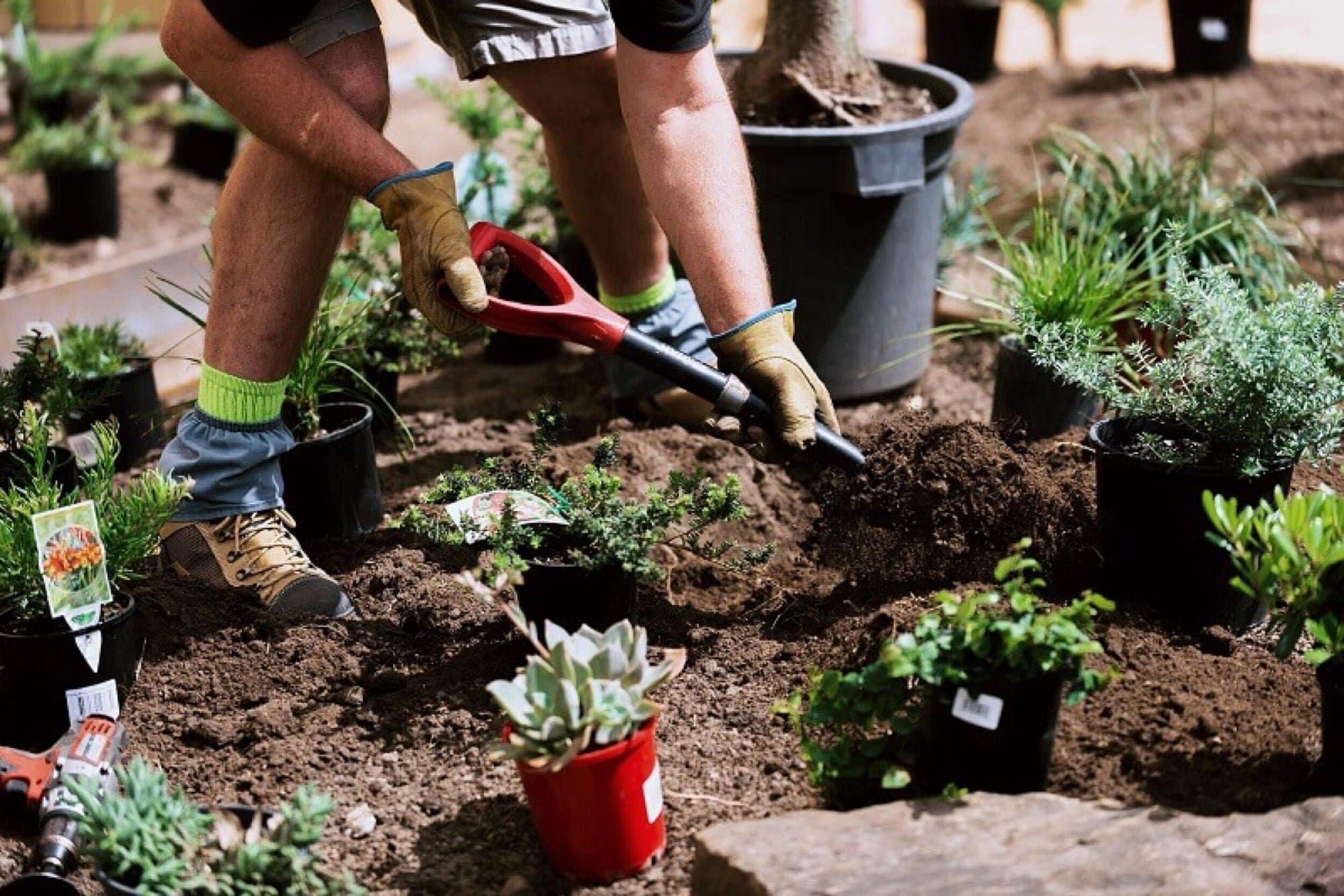 gardening work in Sydney