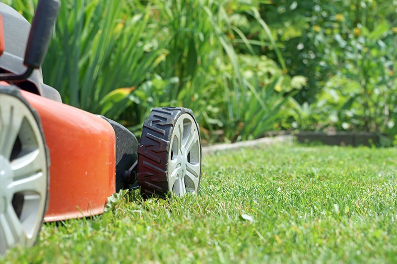 Expert Garden Maintenance Services Bondi
