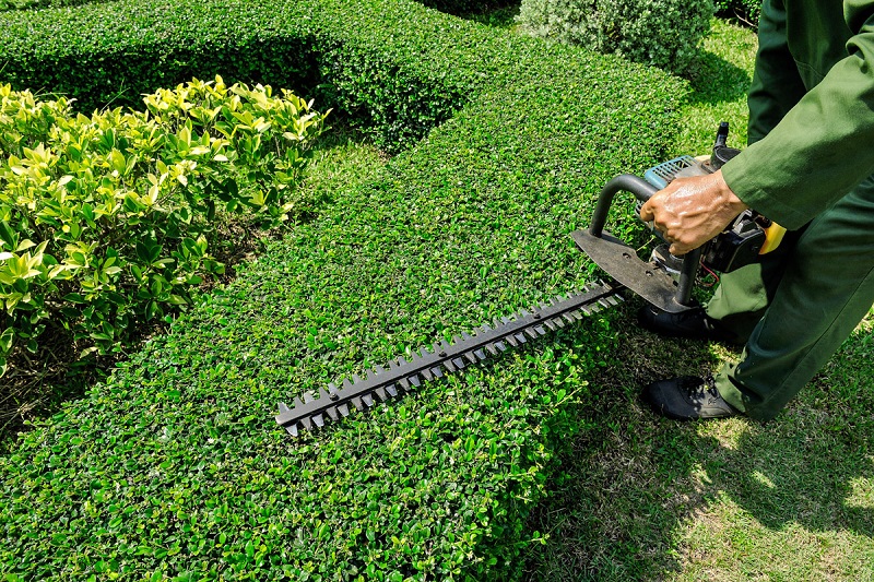 Professional Garden Maintenance Services Terrey Hills