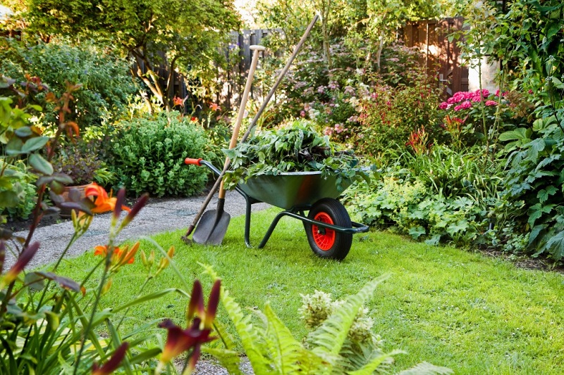 Professional Gardening Services Waverton