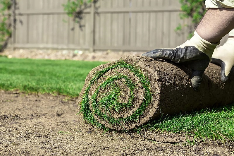 Professional Landscaping Services Woolwich