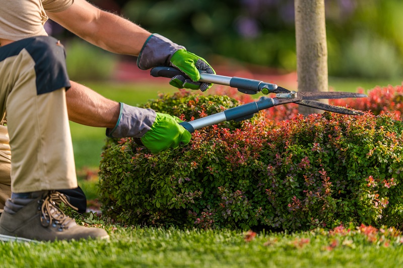 Professional Garden Maintenance Benefits